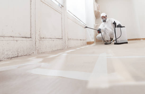 24/7 Emergency Mold Removal experts in Thornton, PA